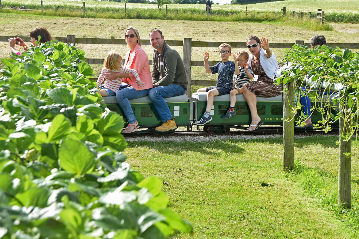 Cedarbarn Farm Shop and Cafe, Pickering